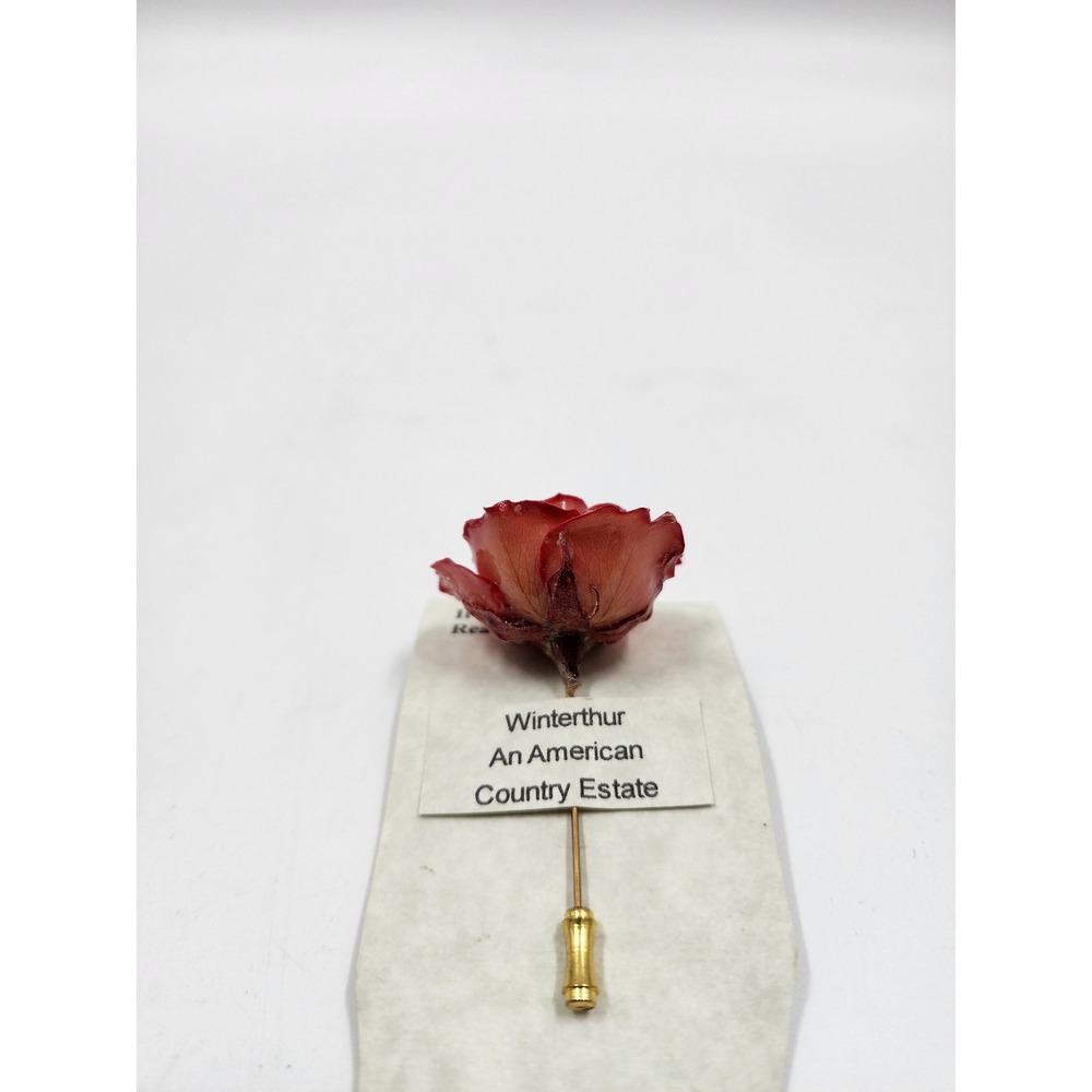 Winterthur Real Rose Stick Pin 14K Gold Overlay Hand Painted Preserved Flower - Picture 2 of 8